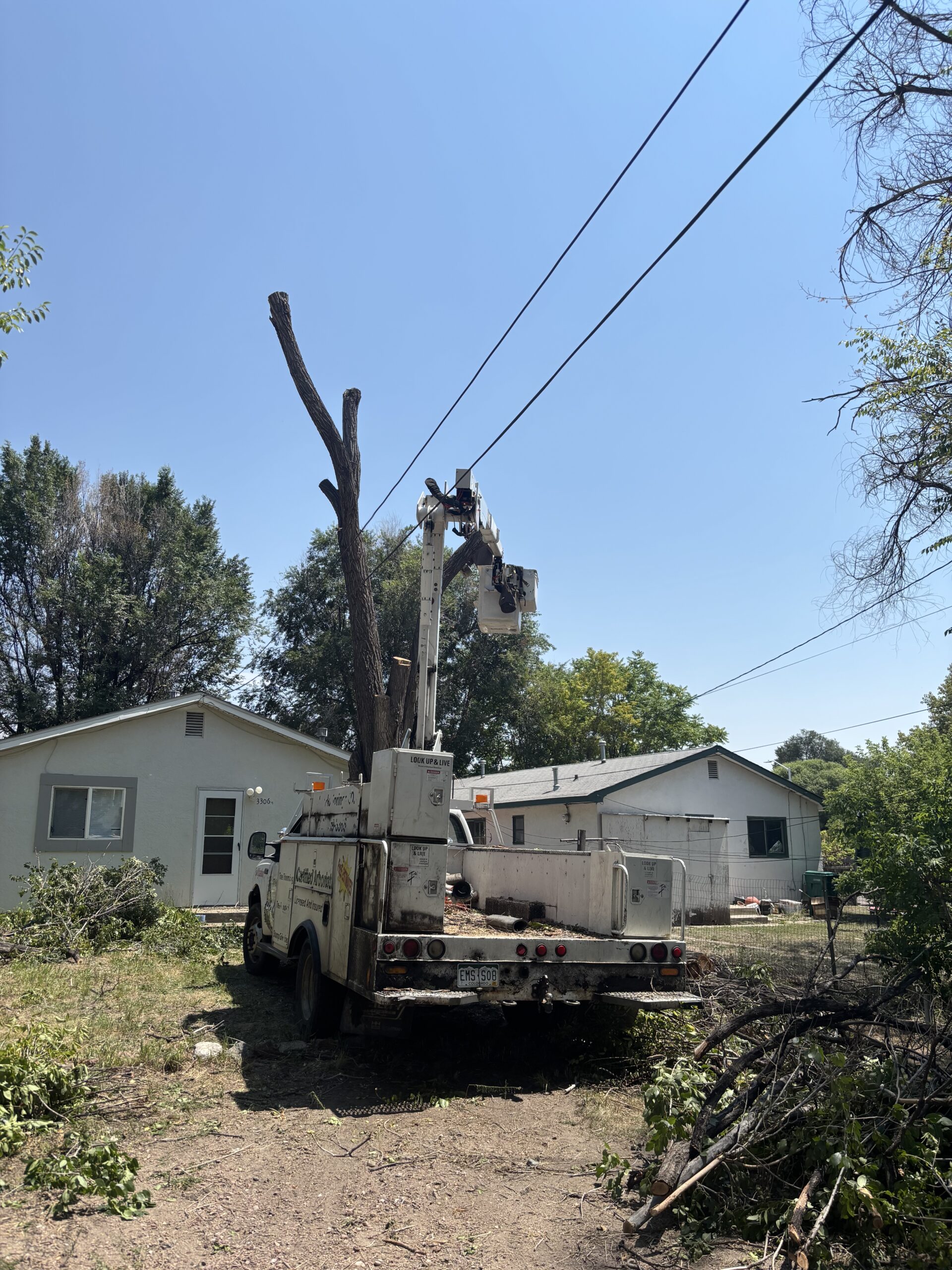Colorado ISA-Certified Arborist providing professional tree care near utility lines using a lift.